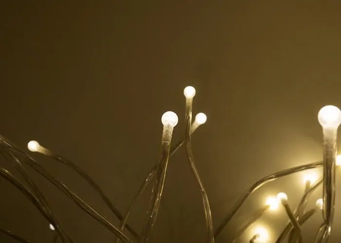 ホテル Montecarlo