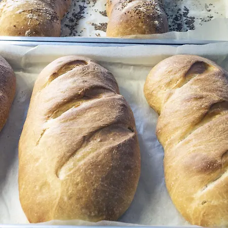 Montecarlo 호텔 3*